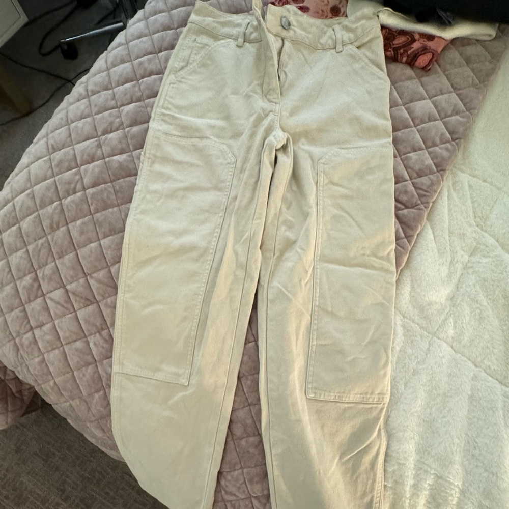 Aritzia Pants - Wildred